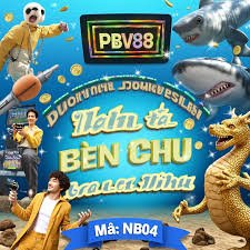 nv999